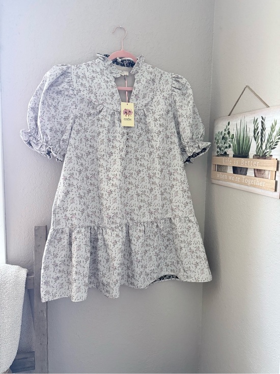 entro Dresses & Skirts - entro Soft Floral Ruffle Collar Dress in Light Gray and White